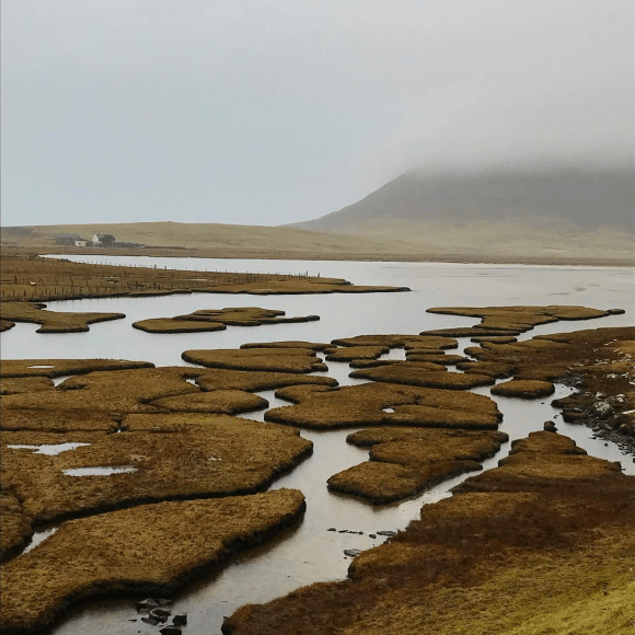 It’s been a good day… full of weather again..