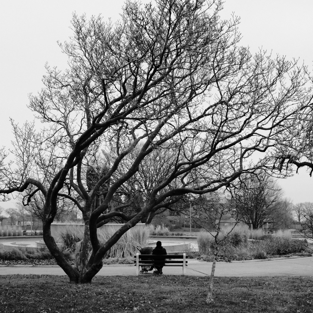Beneath Old Grandfather